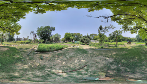 sarkari naukri van vibhag