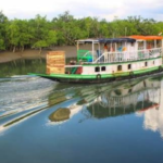 Sundarban Tour: Your Ultimate Guide to an Unforgettable Wildlife Adventure