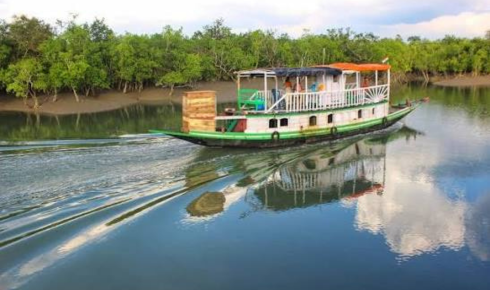 Sundarban tour